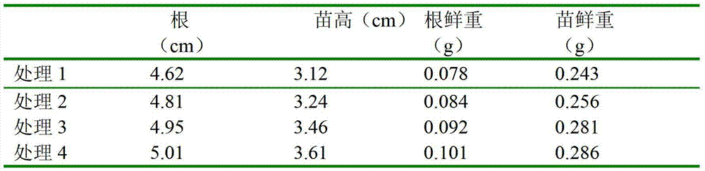 A kind of sawdust fungus chaff nutrient for cultivating mosquito-repelling vanilla and its preparation method