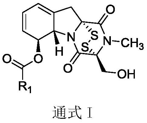 Gliotoxin 6-aromatic ring carboxylic ester series derivatives and preparation method thereof
