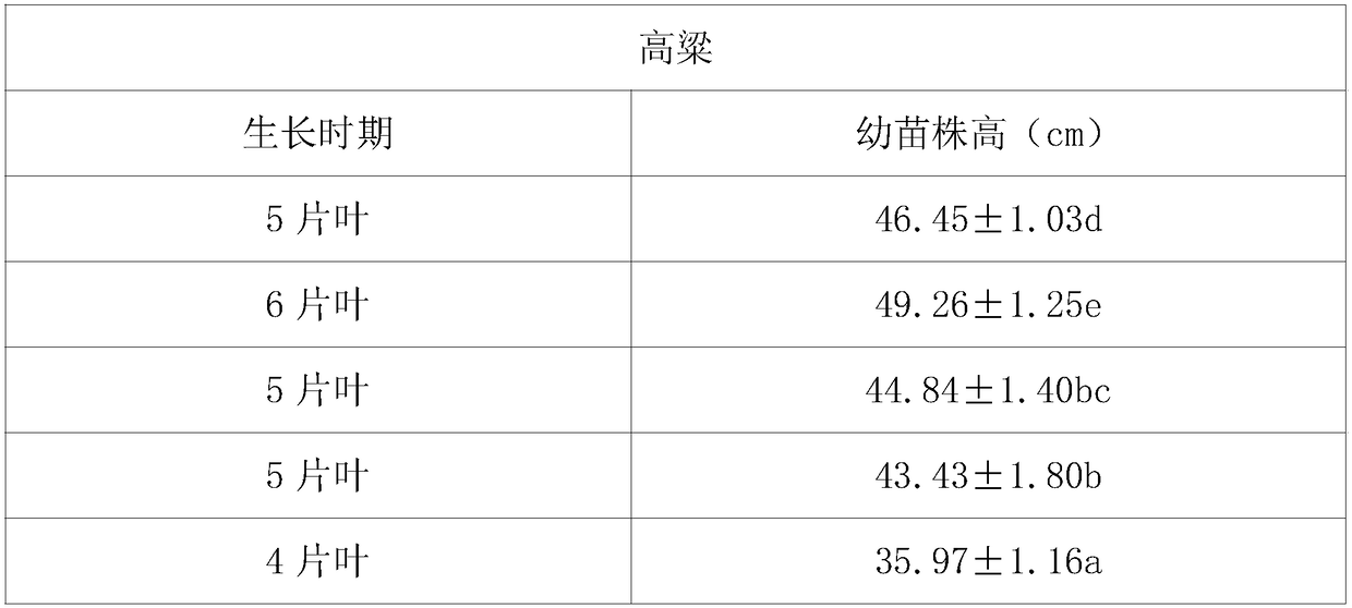 Bio-organic base fertilizer for sorghum and sorghum cultivation method