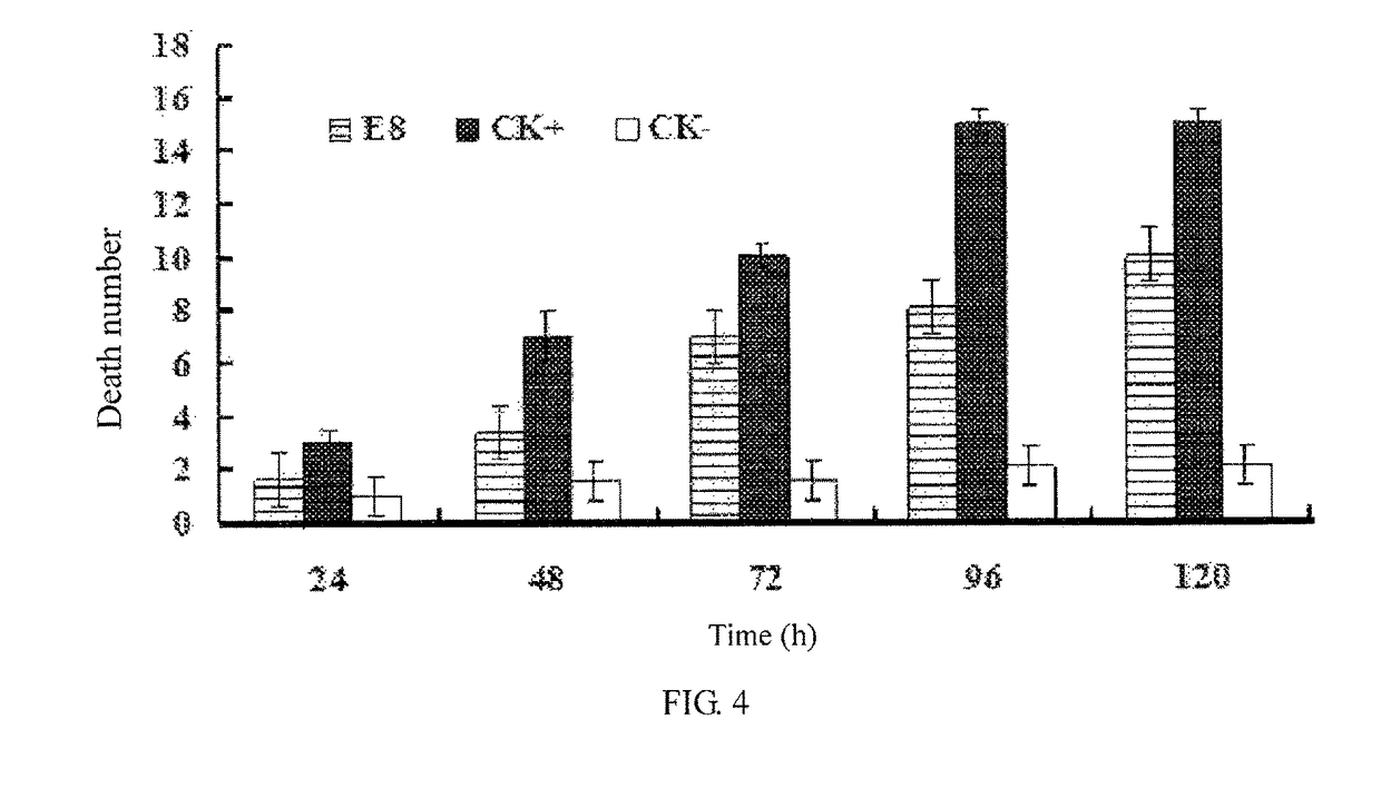Anthropogenic insect-resistant gene and Cry1C toxin idiotype single-chain antibody encoded thereby and application thereof
