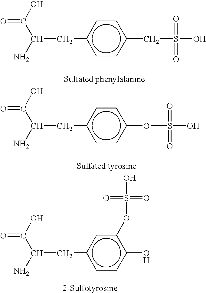 Peptide and polypeptide inhibitors of complement C1s