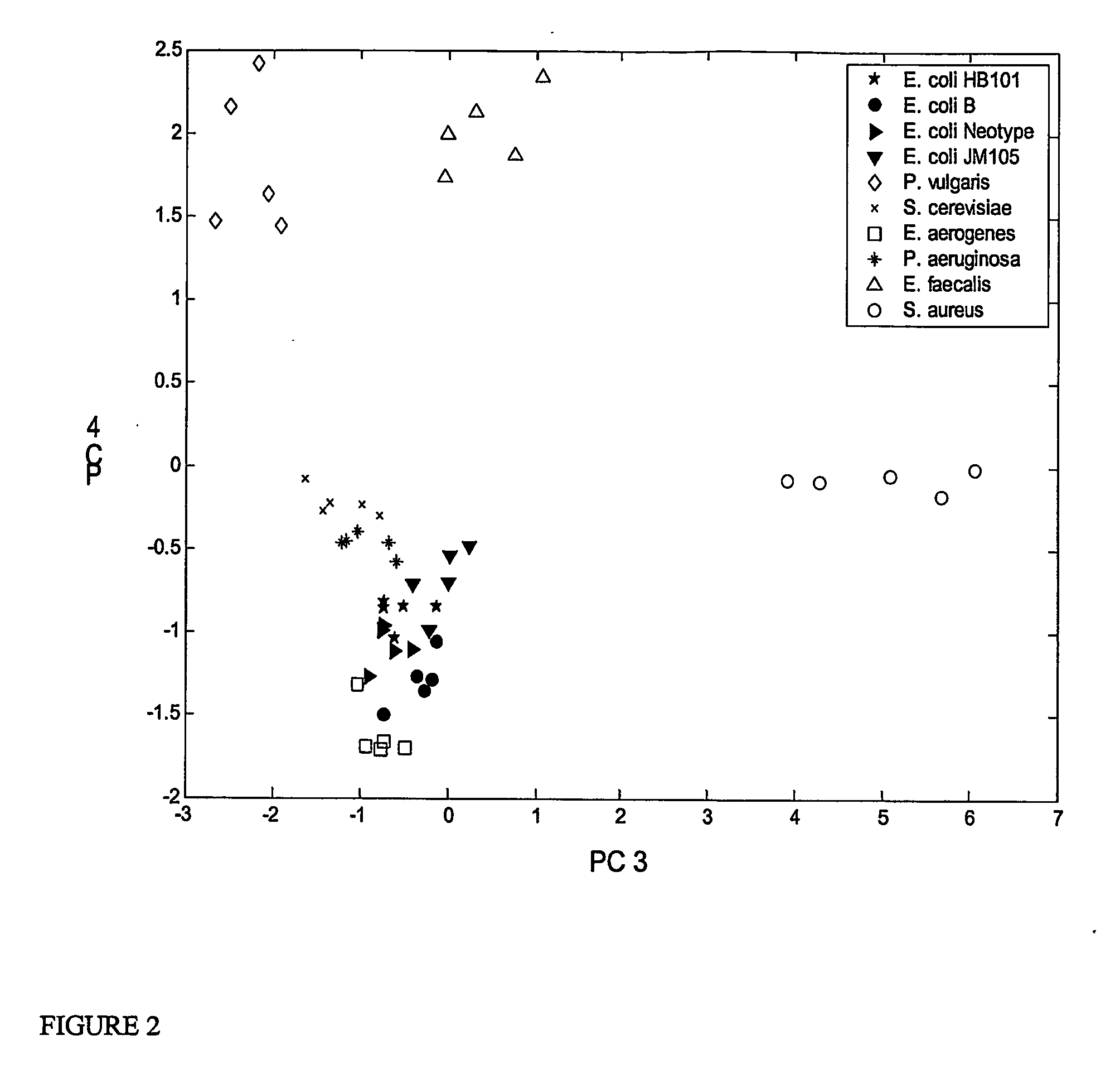 Electrochemical assay for the identification of microorganisms