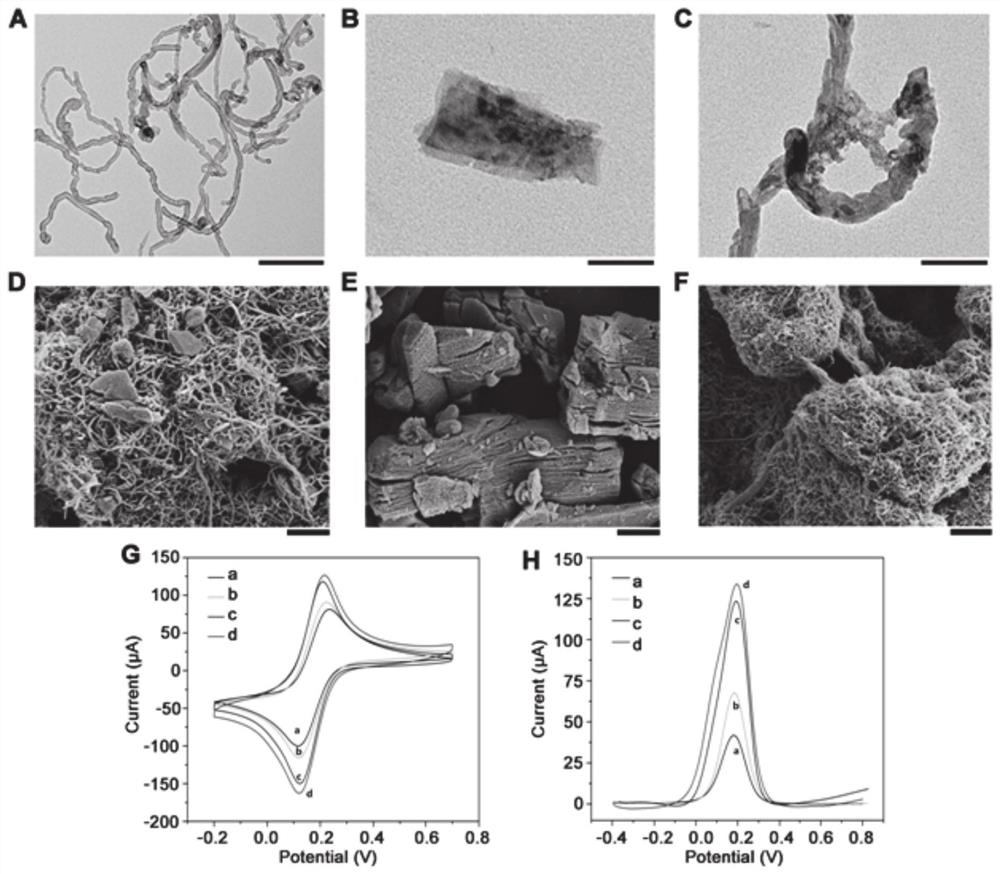 Electrochemical sensor, preparation method and application of electrochemical sensor in detection of ginsenoside Rg3