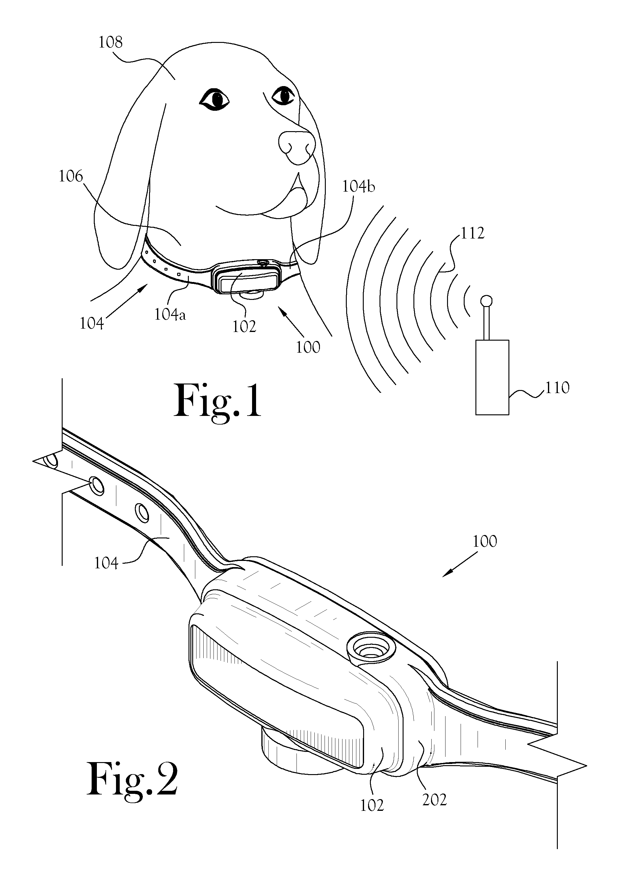 Antenna enclosed within an animal training apparatus