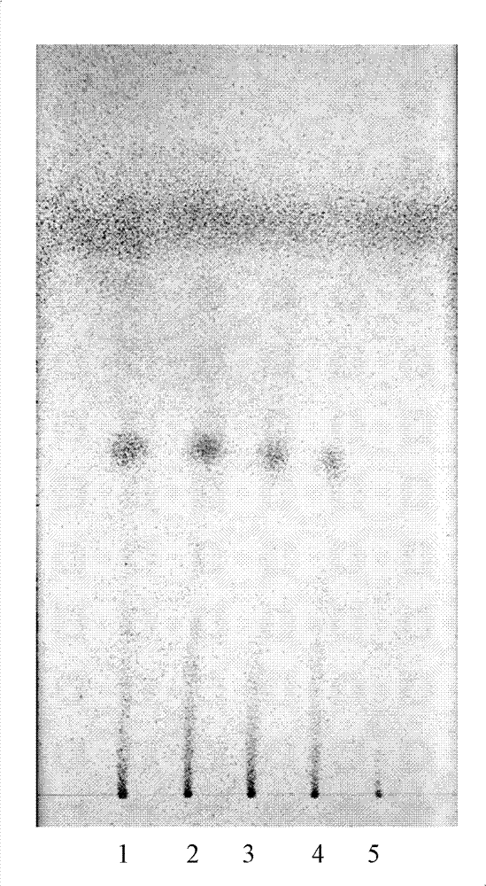 Fluid-increasing decoction formula granules and preparation method, application and detection method thereof