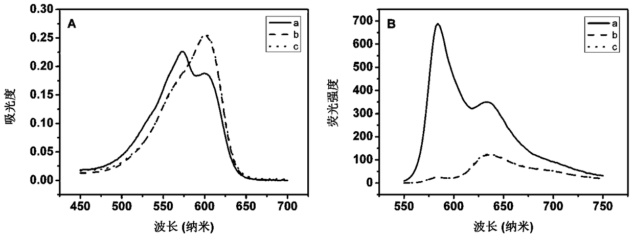 High-sensitivity DNA fluorescence analysis method based on morpholine oligonucleotide functionalized magnetic microspheres