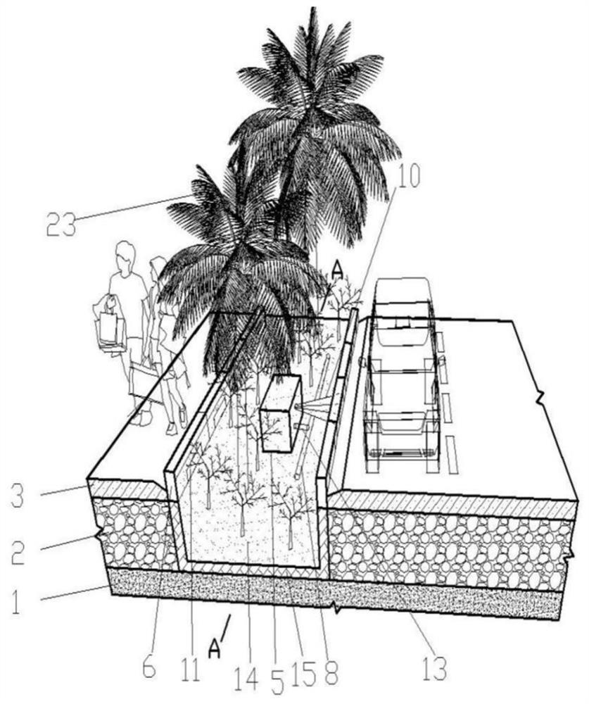 Water storage cellar greening system for roadside in sponge city and using method