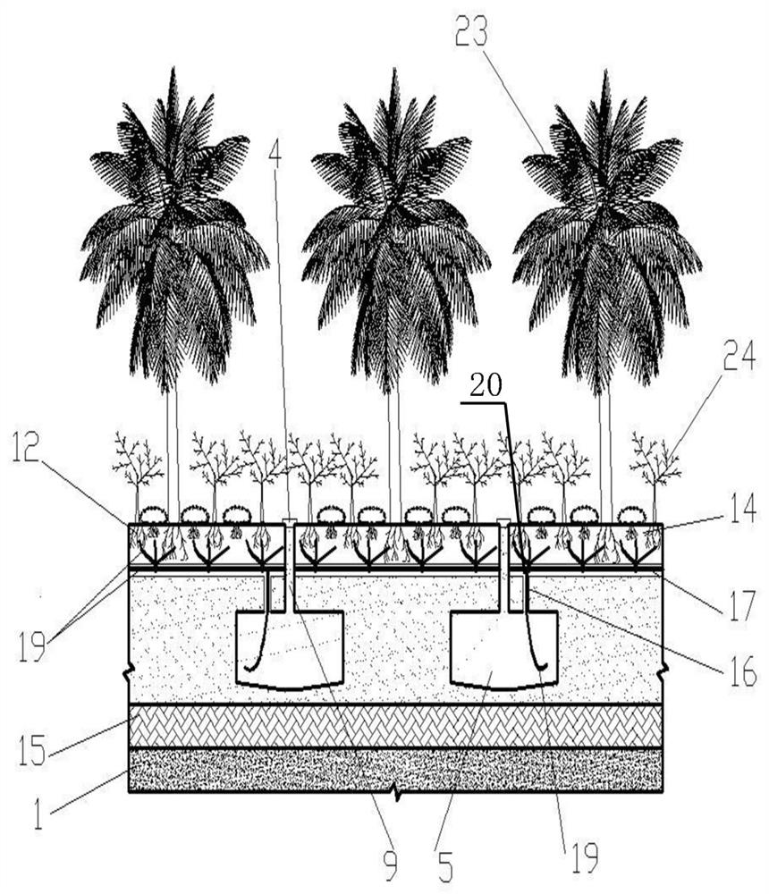 Water storage cellar greening system for roadside in sponge city and using method