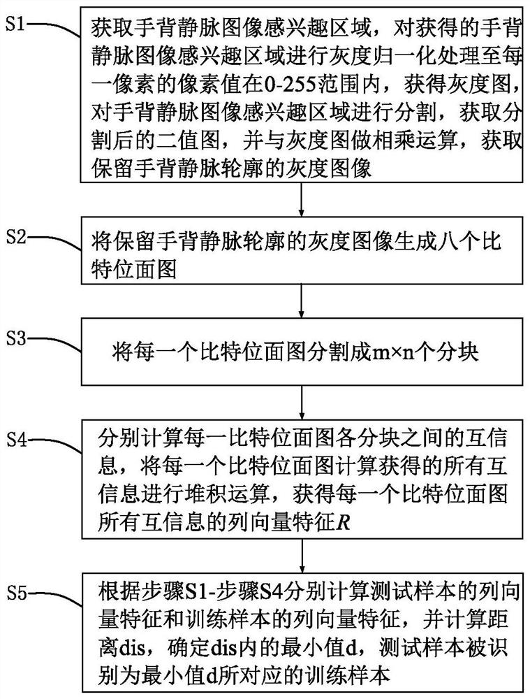 Hand Vein Recognition Method and Recognition System Based on Block Mutual Information in Bit Plane