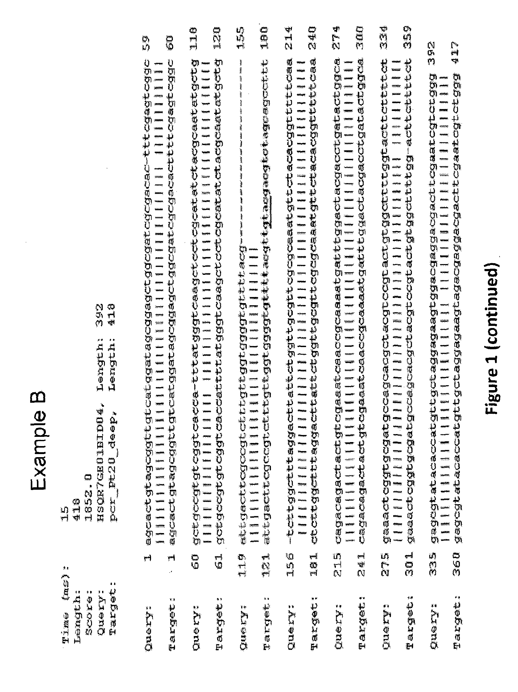 Method for targeted modification of algae genomes