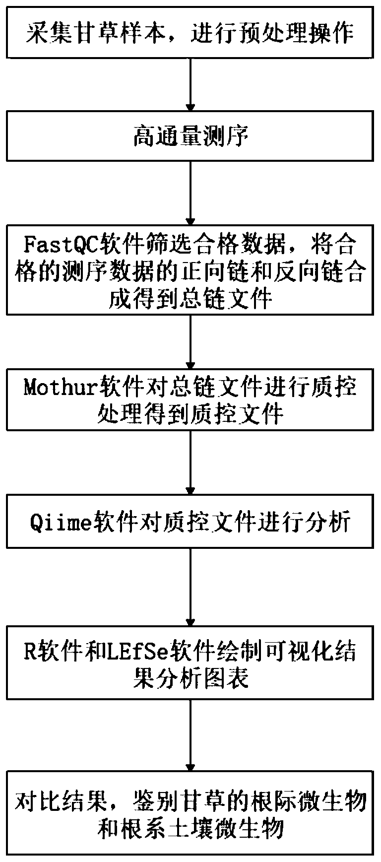 Identification method of symbiotic microorganisms of medicinal plants and application of identification method