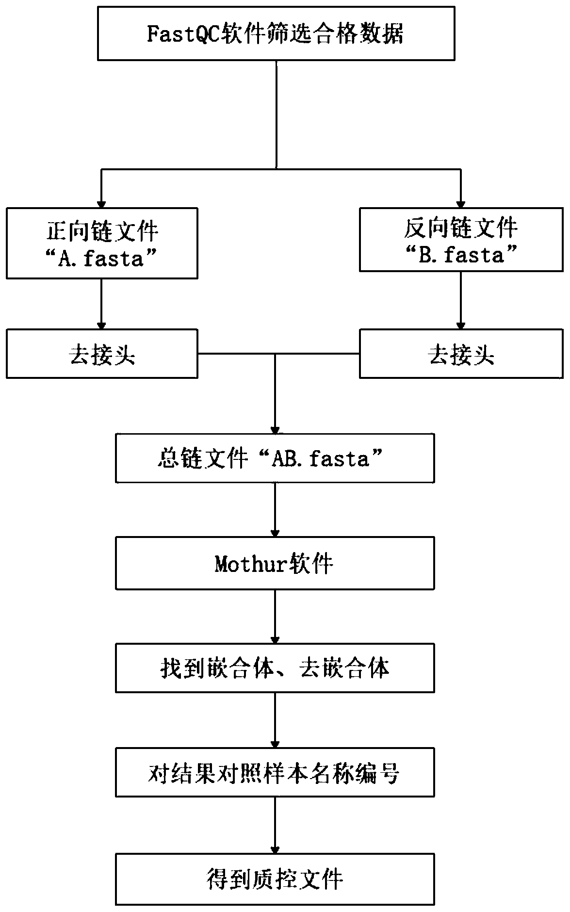 Identification method of symbiotic microorganisms of medicinal plants and application of identification method