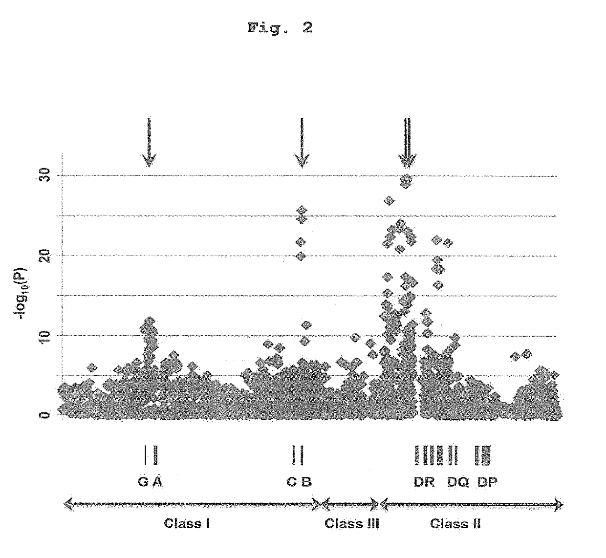 Test method for evaluating the risk of Anti-thyroid drug-induced agranulocytosis, and evaluation kit