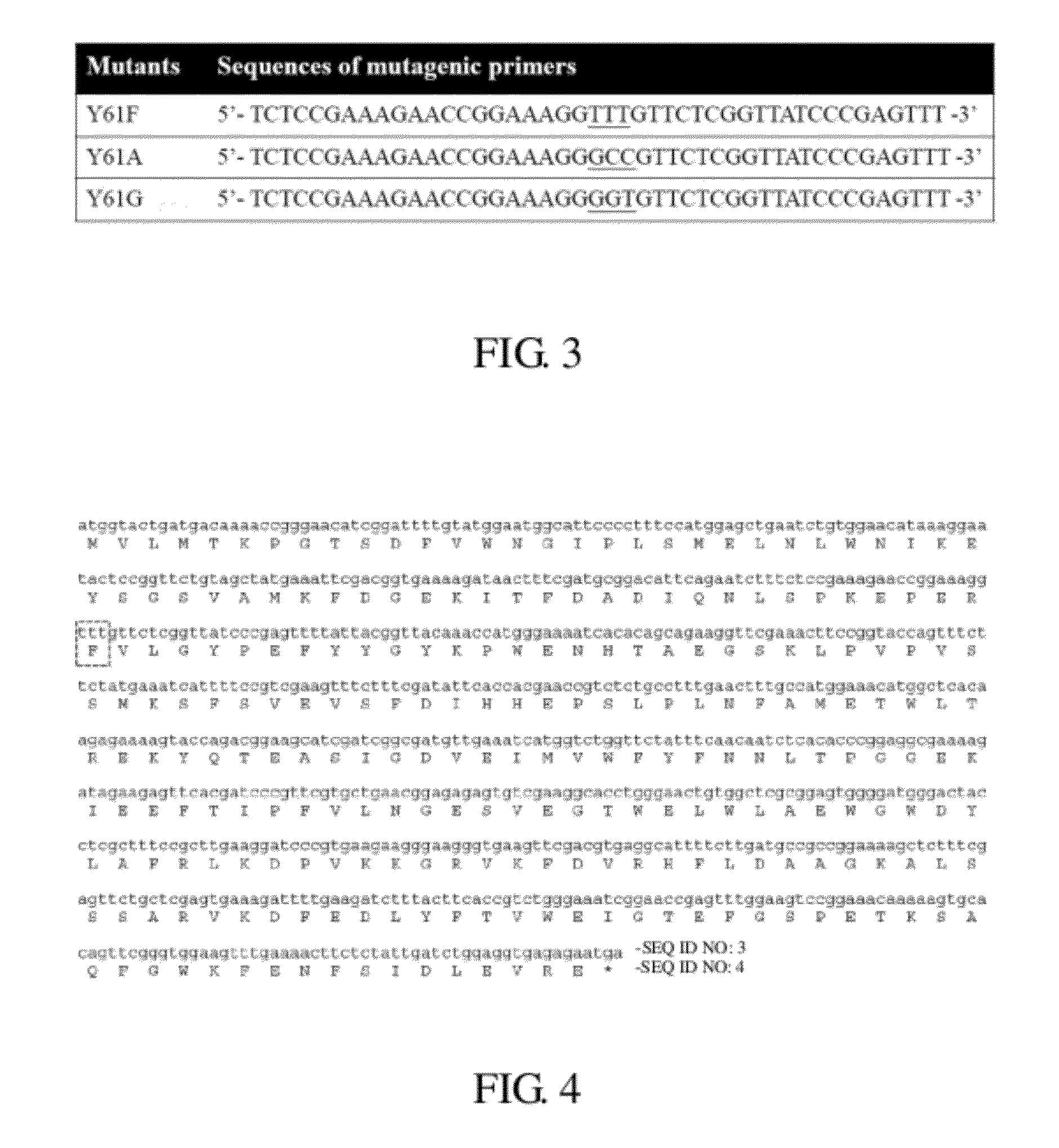 Thermostable cellulase having increased enzyme activity