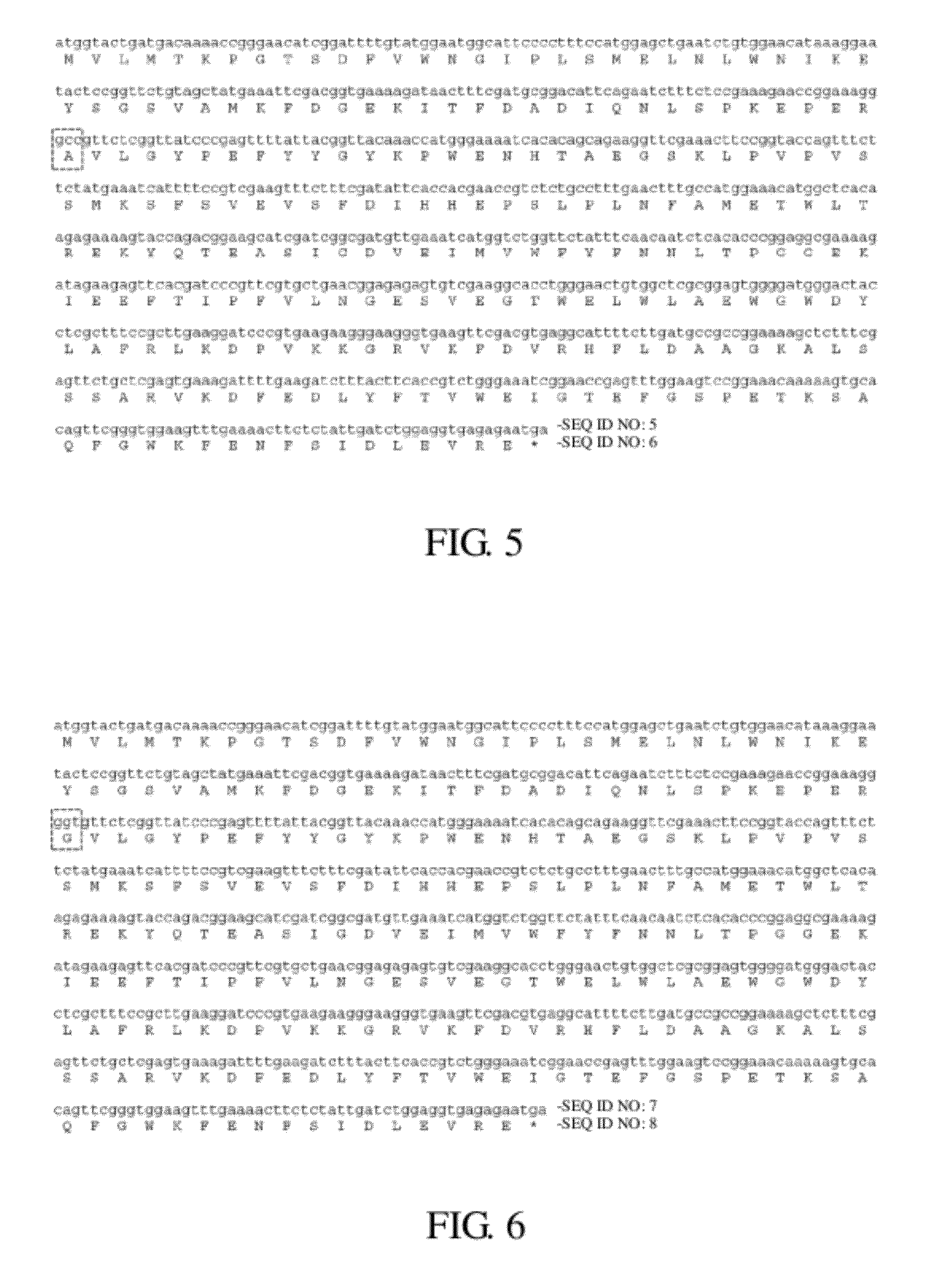 Thermostable cellulase having increased enzyme activity