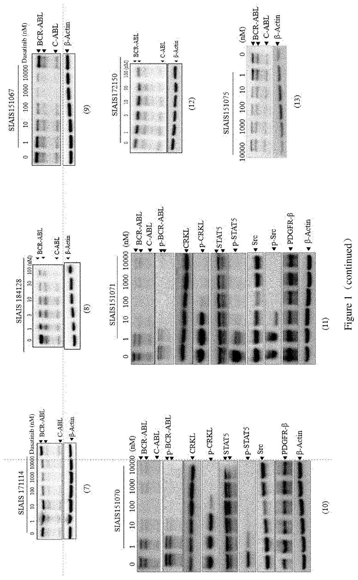 Compounds targeting and degrading bcr-abl protein and its antitumor application