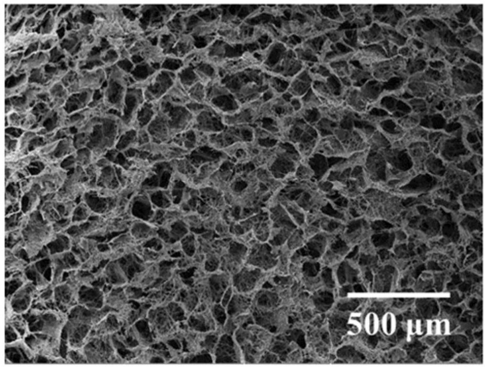 Composite flexible sio for bone repair  <sub>2</sub> -Elastic airgel scaffolds of cao fibers