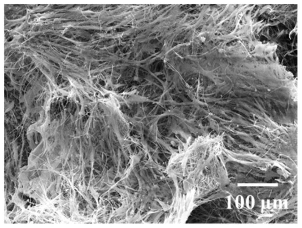 Composite flexible sio for bone repair  <sub>2</sub> -Elastic airgel scaffolds of cao fibers