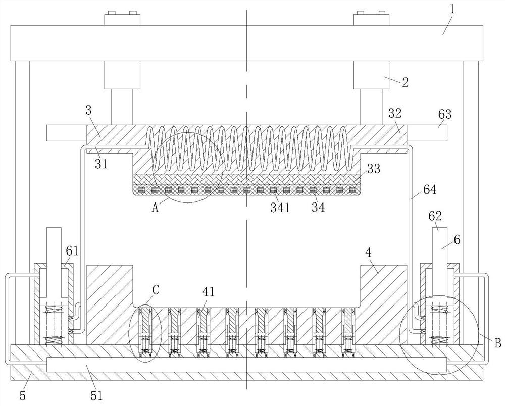 A polymer film thermocompression forming device and film forming process