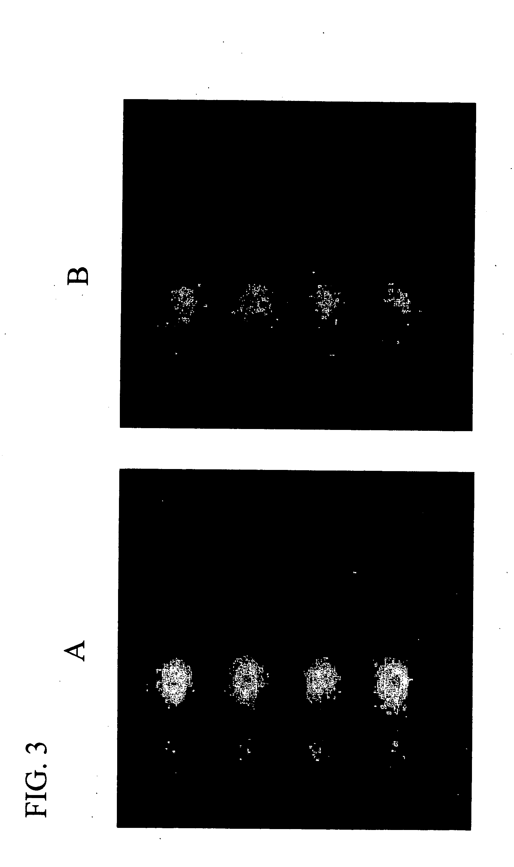 Assay solution compositions and methods for GPCR arrays