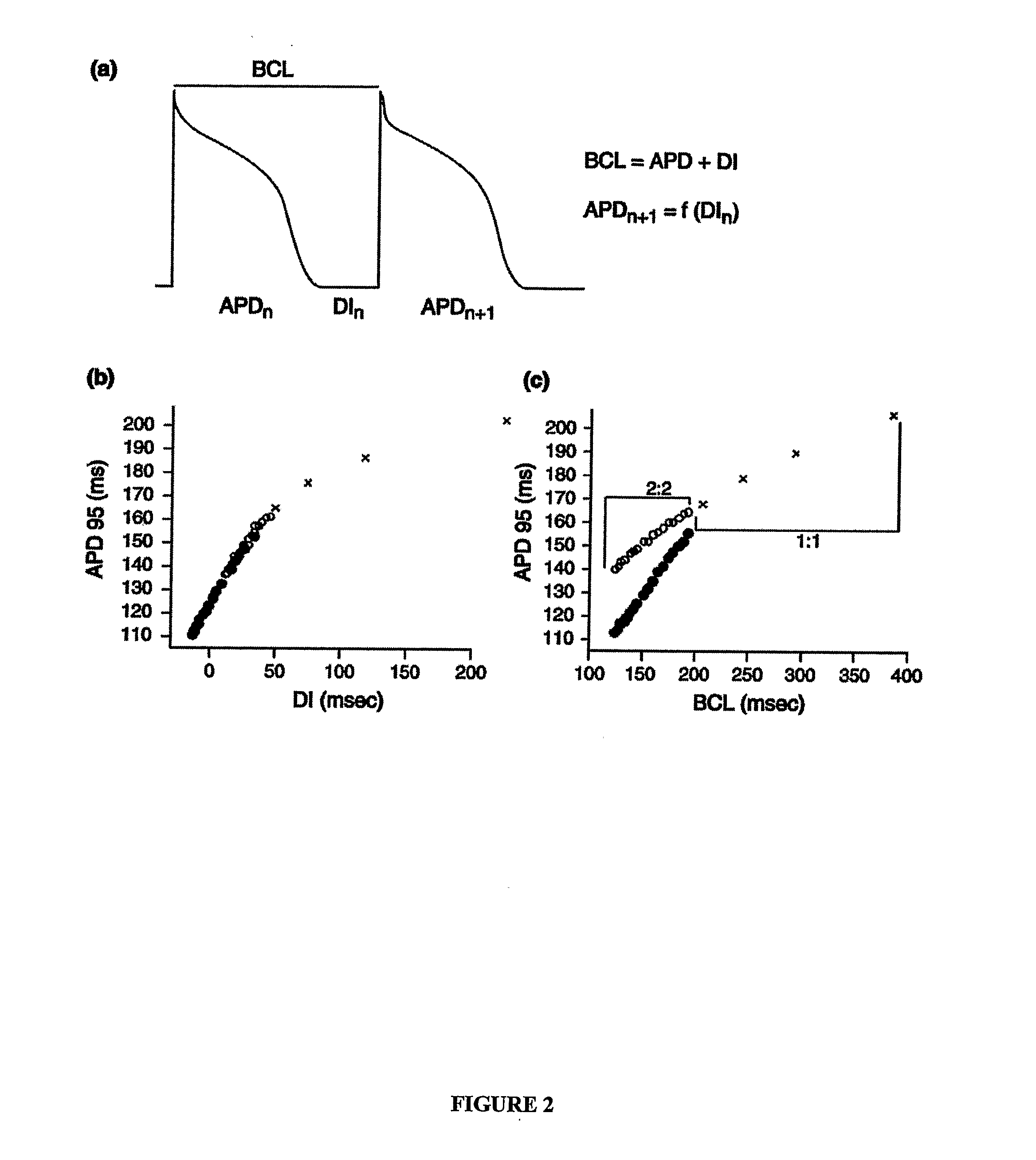 Method of Identifying Strategies for Treatment or Prevention of Ventricular Fibrillation and Ventricular Tachycardia
