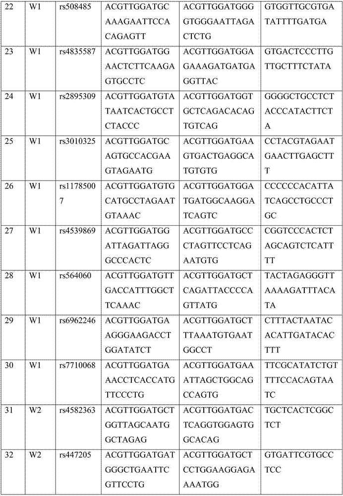 Genetic marker for human individual recognition and/or paternity identification and detection method thereof and kit