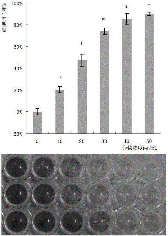 Preparation method of edible fungus protein extract with antitumor effect