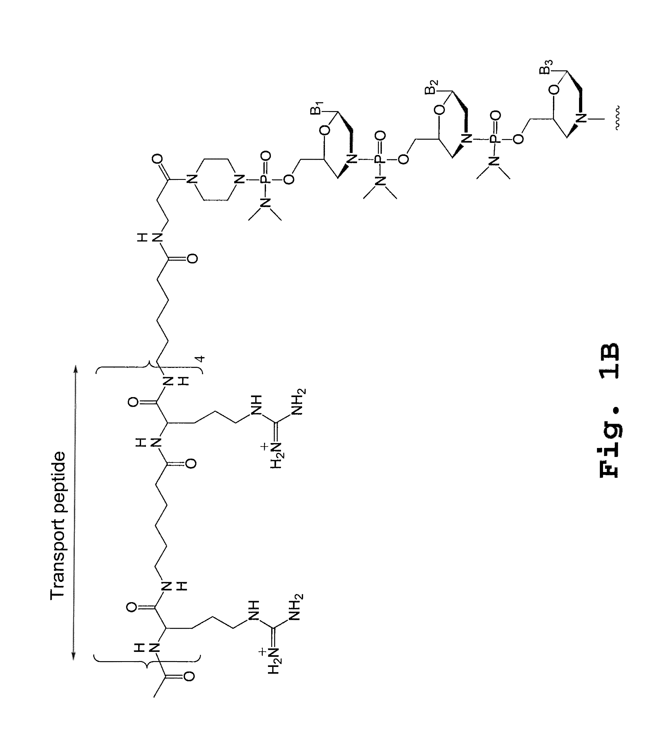 Compound and method for treating myotonic dystrophy