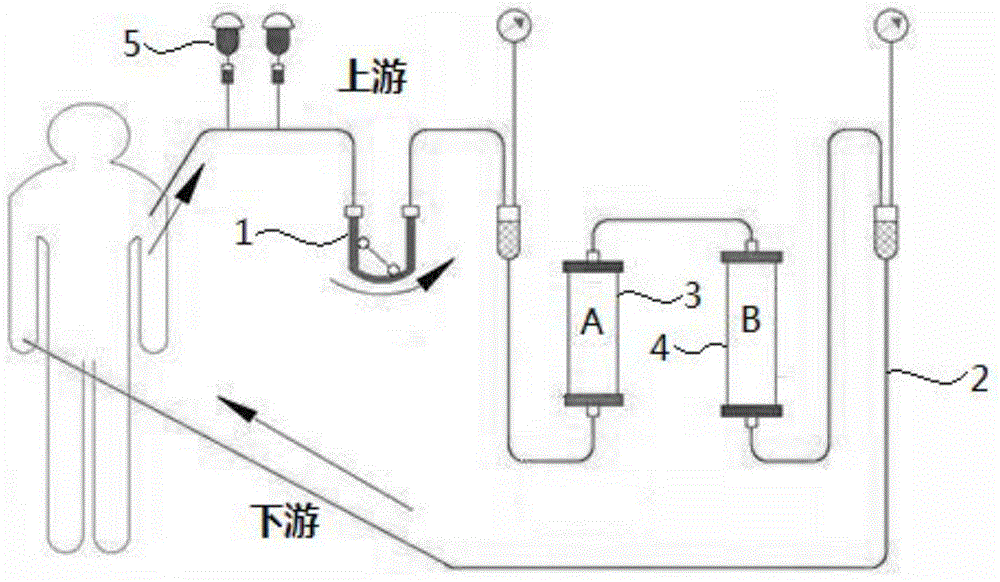 Adsorbent for treating gram bacterial infection and blood perfusion device