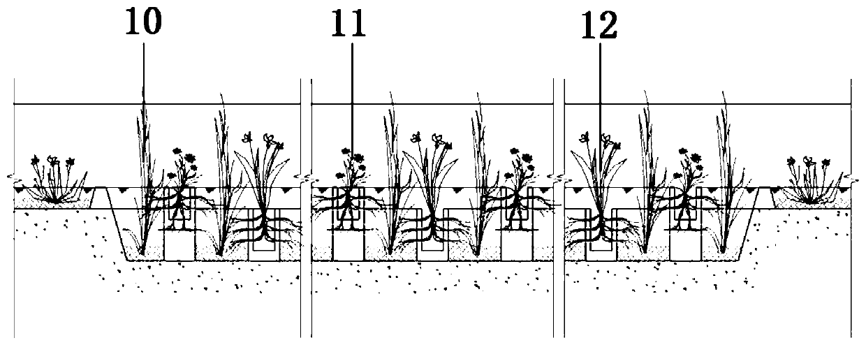 Method for treating farmland non-point source polluted water by using local deep ecological ditch