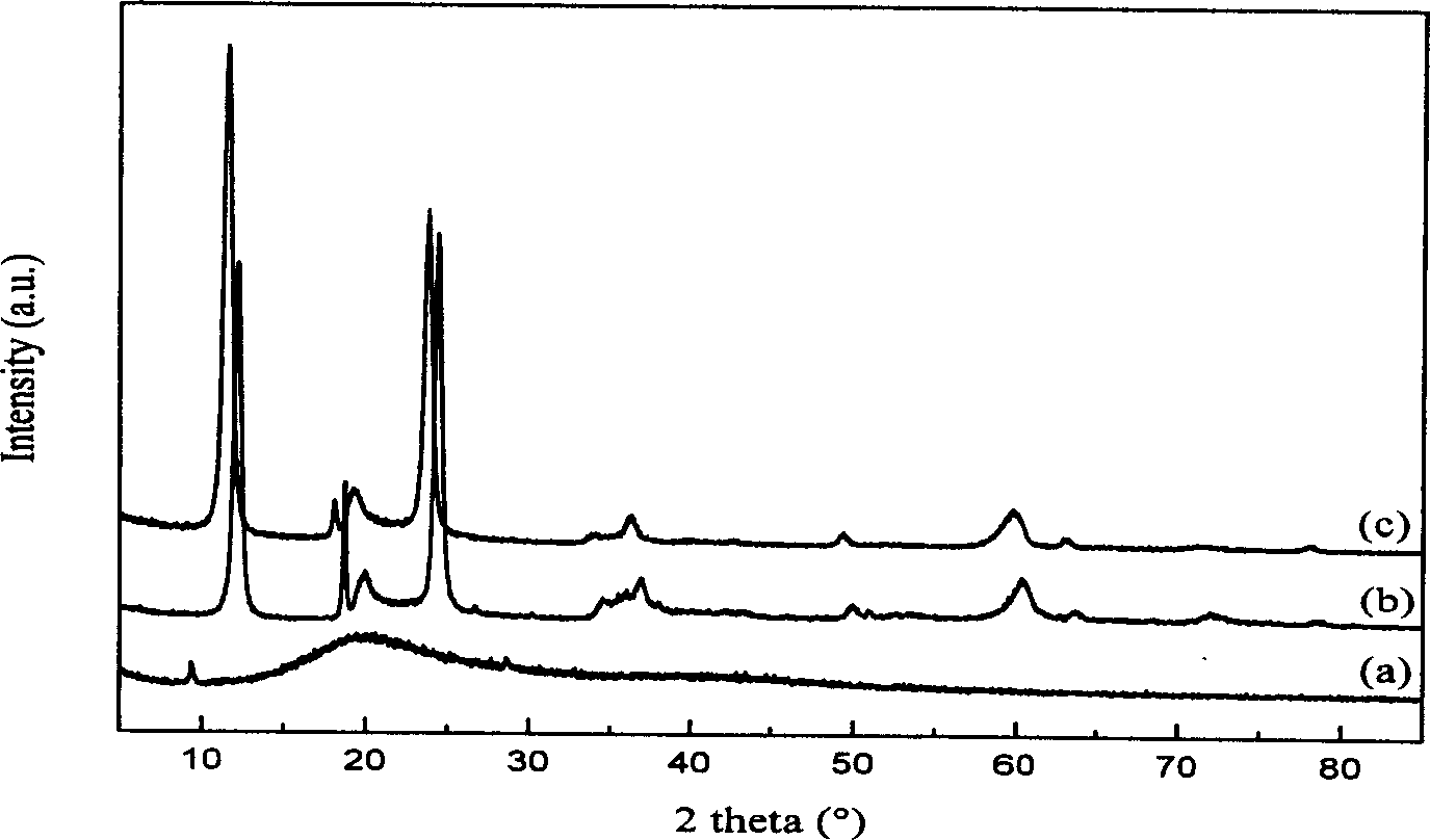 Method for preparing chrysotile nano fiber