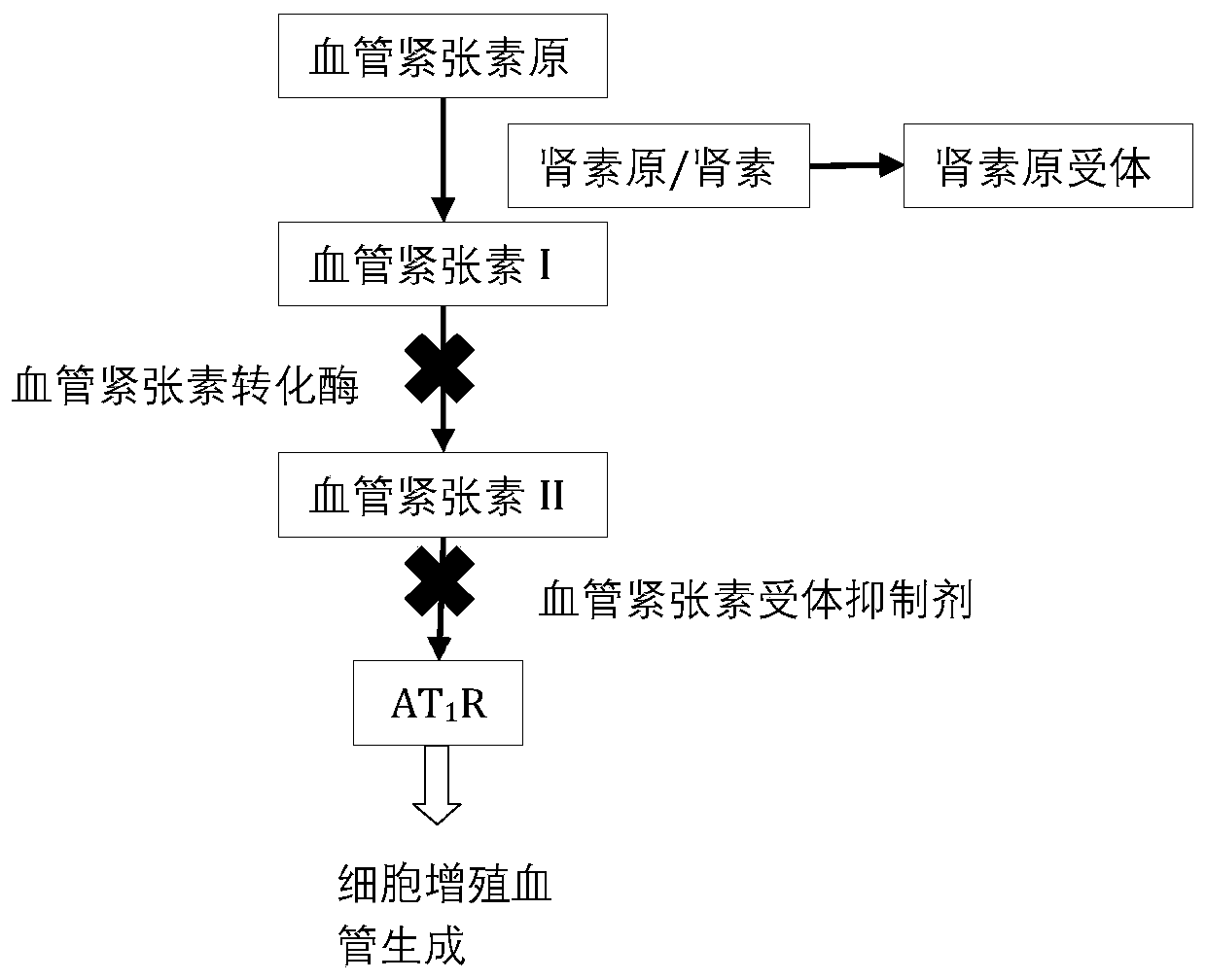 Application of Losartan in preparation of antineoplastic drugs