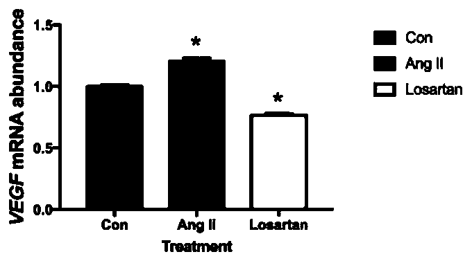 Application of Losartan in preparation of antineoplastic drugs