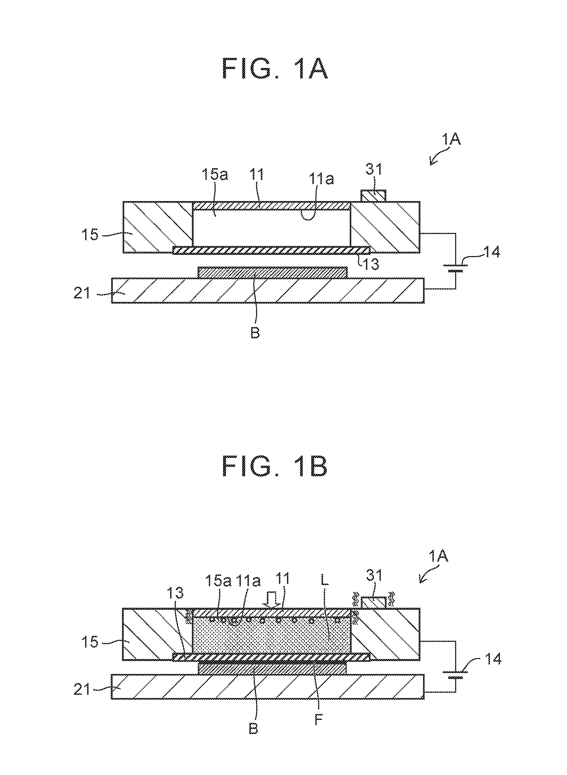 Film forming apparatus and film forming method