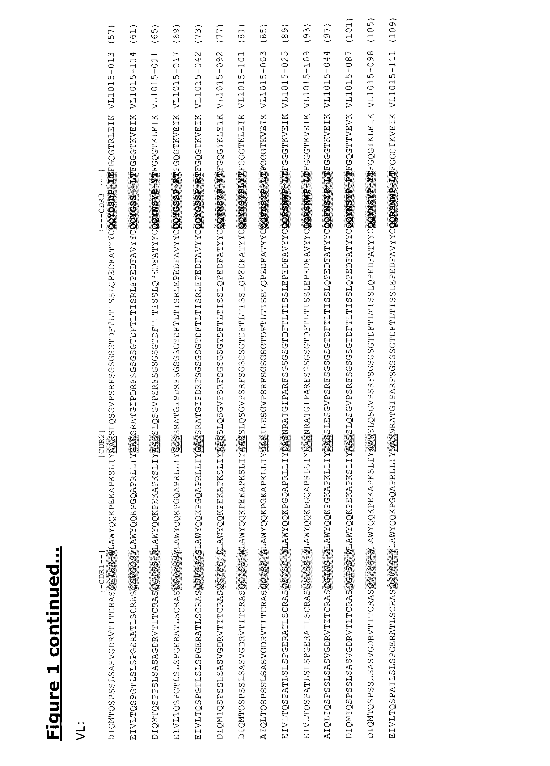 Human antibodies against tissue factor and methods of use thereof