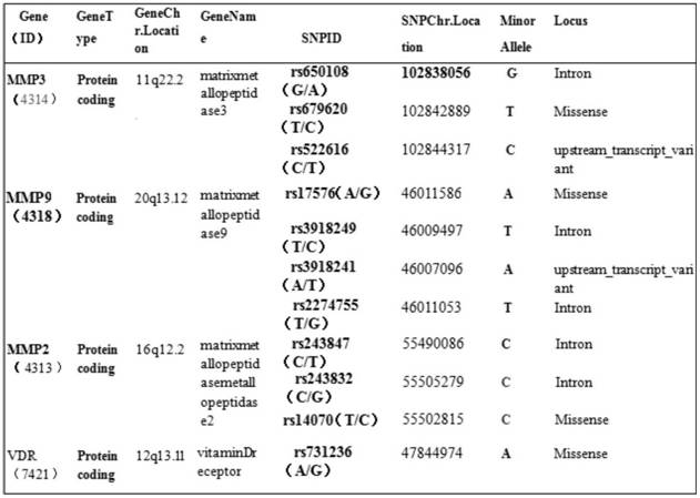 Detection substance for SNP of ONFH susceptibility related VDR, MMP2, MMP3 and MMP9 genes and application