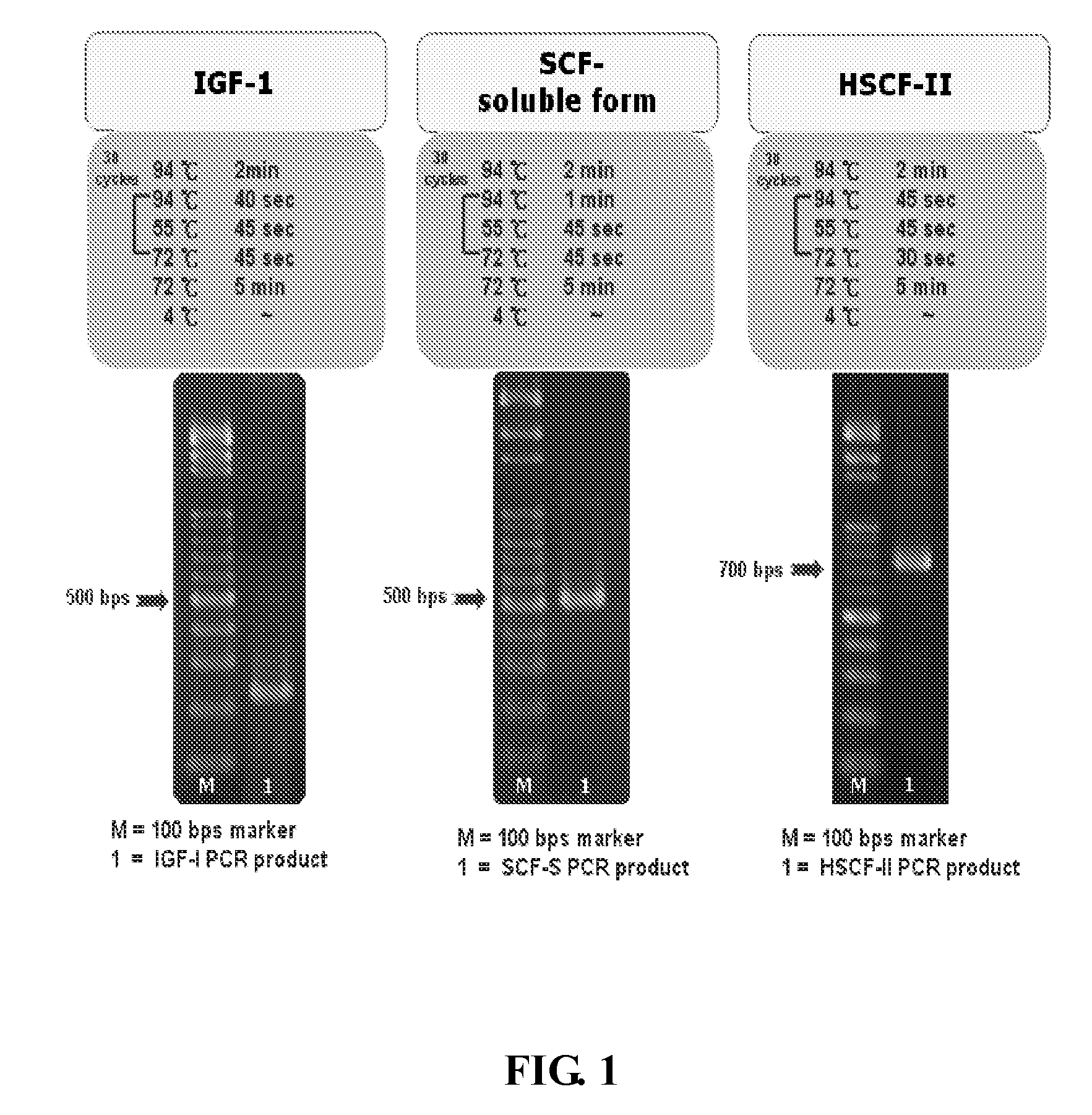 Compositions and methods for dual therapies of hair graying and balding in follicular delivery systems