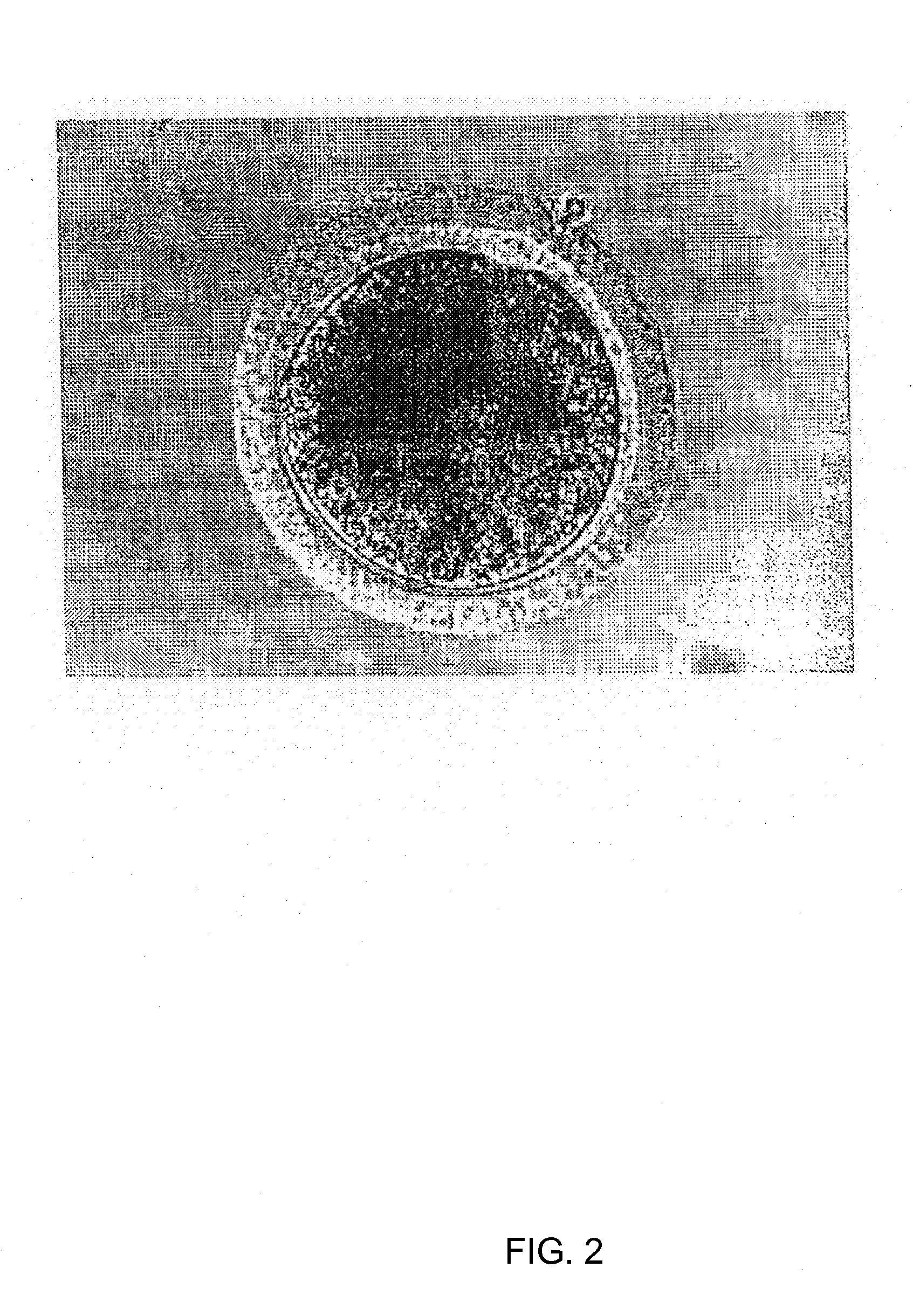 Gfp-transfected clon pig, gt knock-out clon pig and methods for productions thereof
