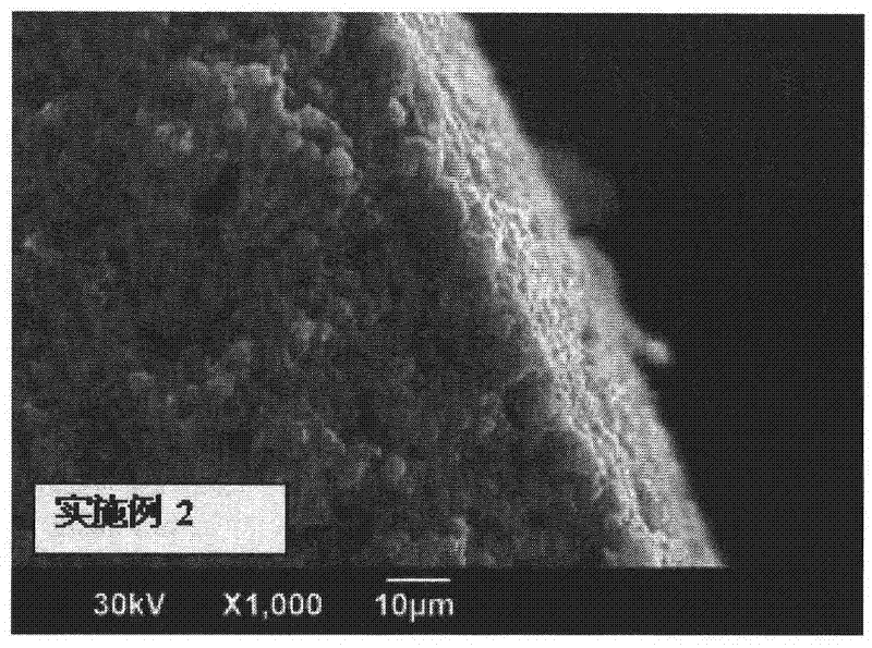High-strength zeolite bead molding and method for producing the same