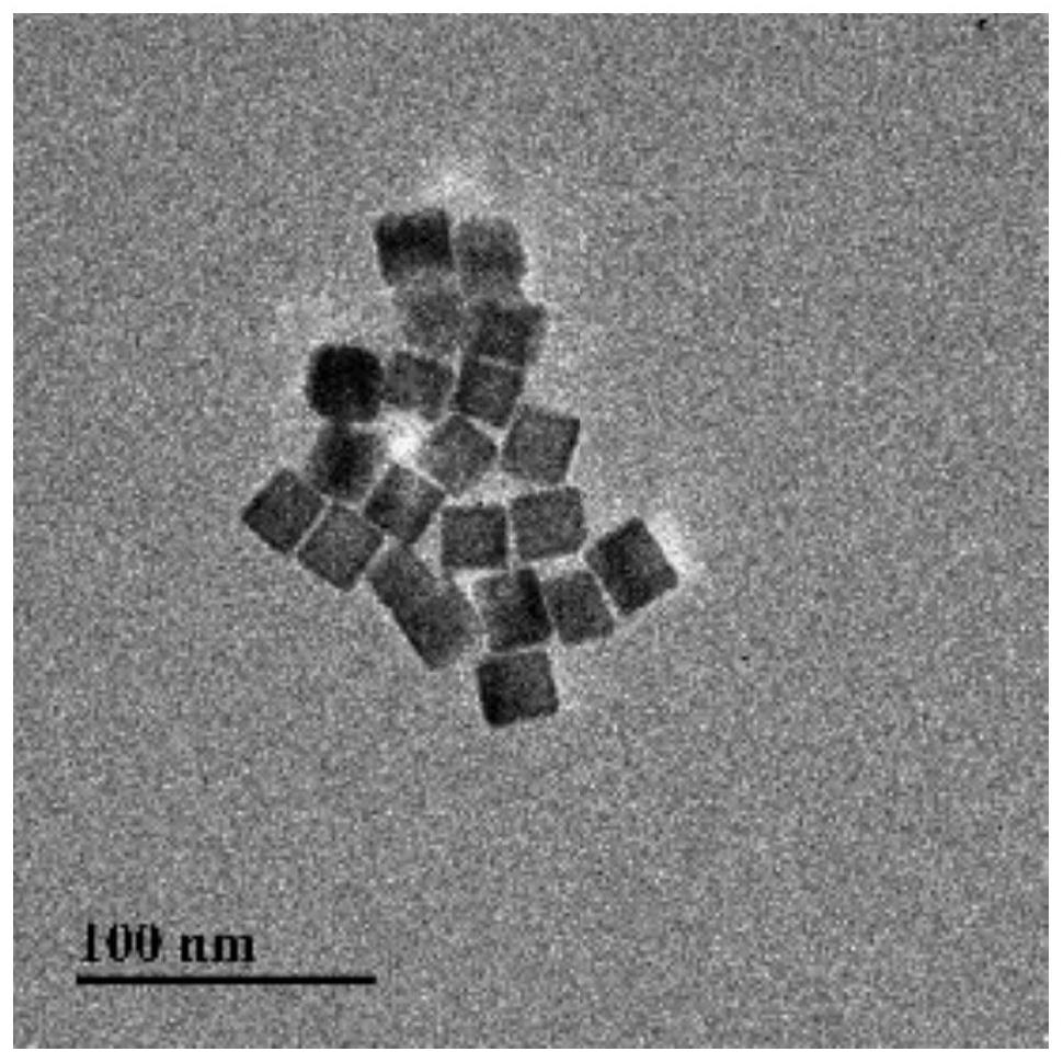Nanoparticle catalyst with ultrathin platinum metal layer and preparation method of of nanoparticle catalyst