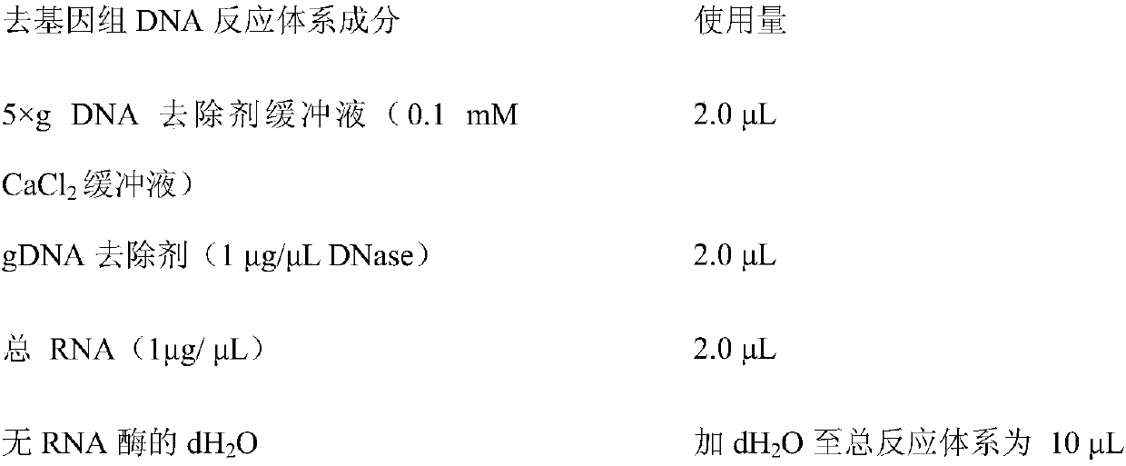 Primers, kit and method to detect circular DNA circRNA_101835 and their application