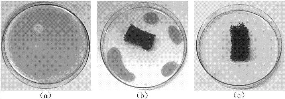 Sponge loaded type organic solvent absorbent and preparation method thereof