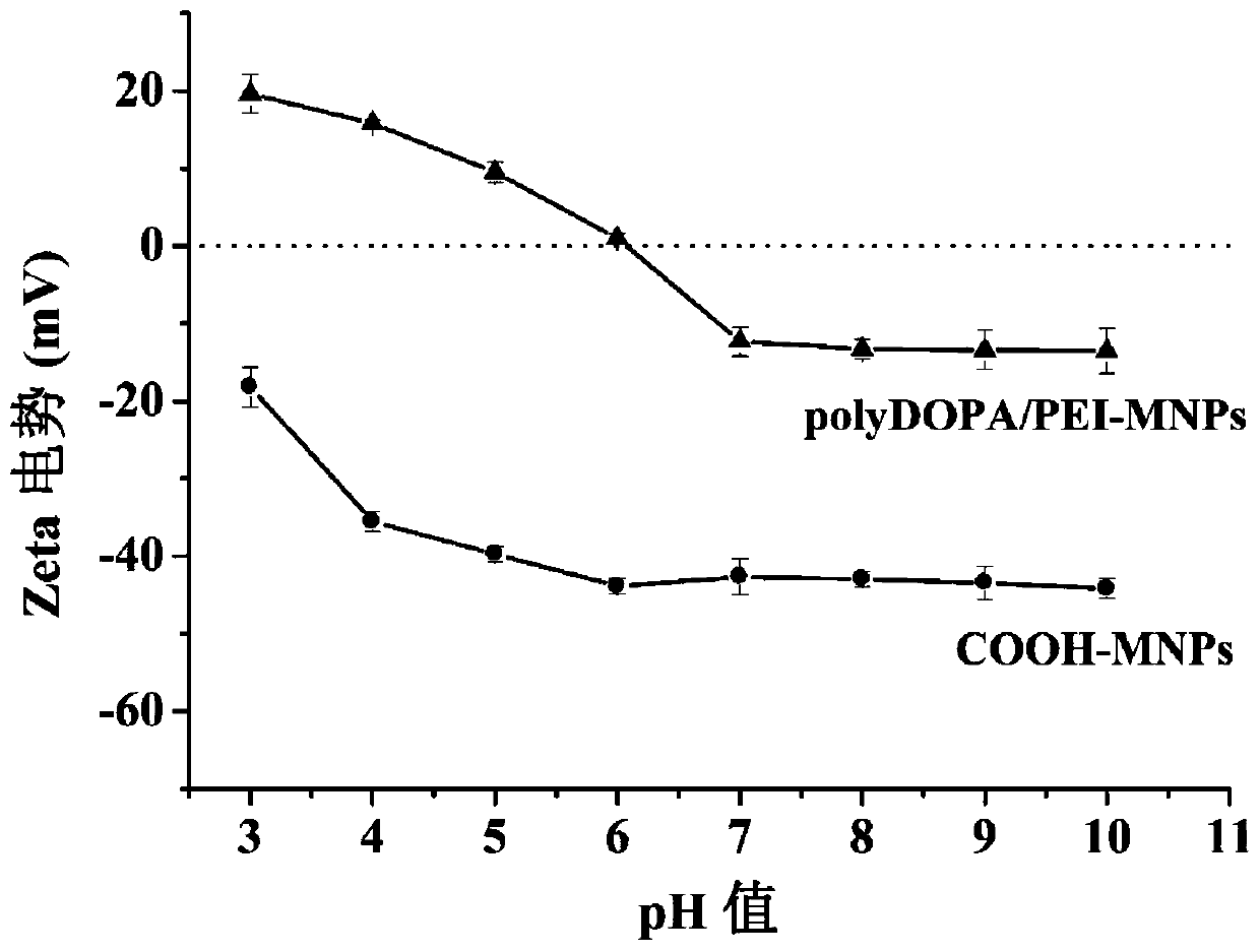 Polydopa/polyethyleneimine copolymer modified magnetic particles and preparation method and application thereof