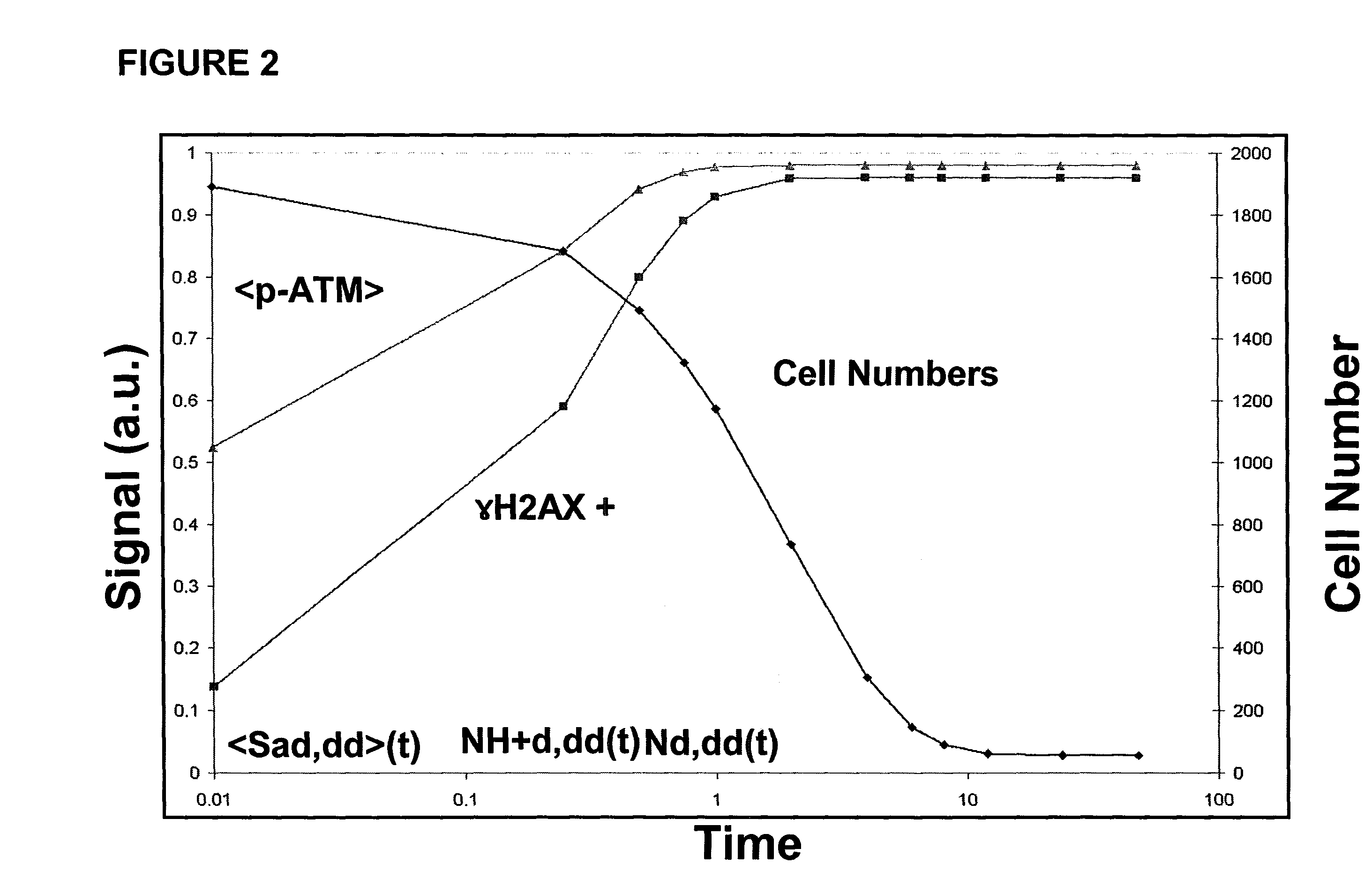 Methods and Compositions Related to Cellular Assays