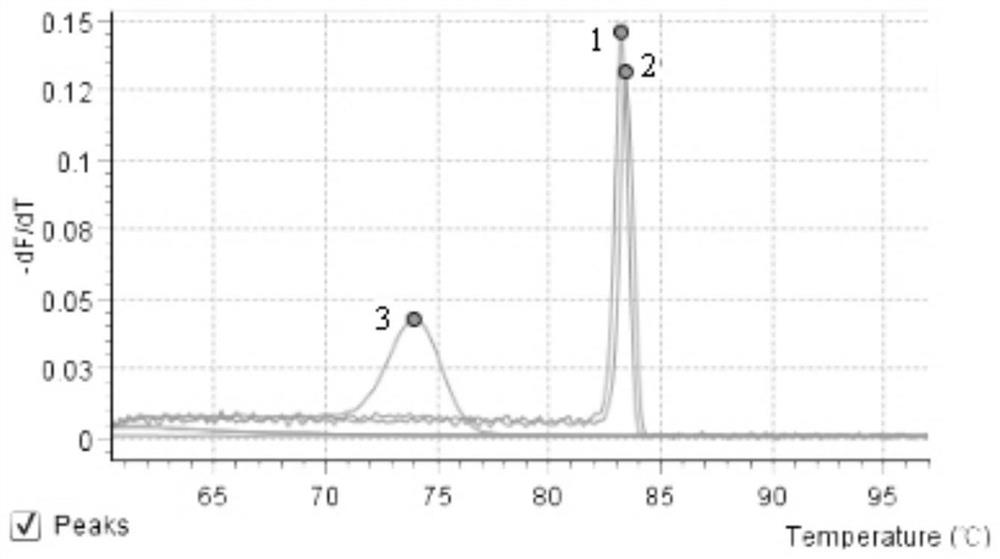 Fox retrovirus SYBR Green I fluorescent RT-PCR kit and use method thereof
