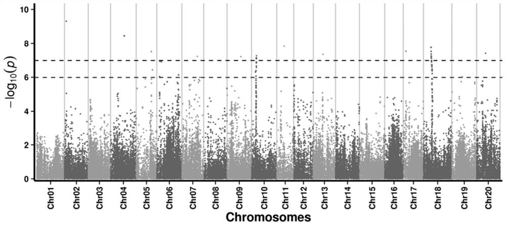 Molecular markers, intervals, primers and applications related to soybean seed oil content