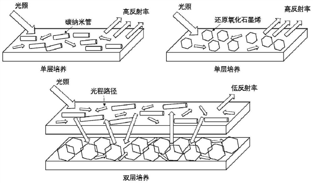 Photothermal conversion film with heterostructure light trapping enhancement and preparation method of photothermal conversion film