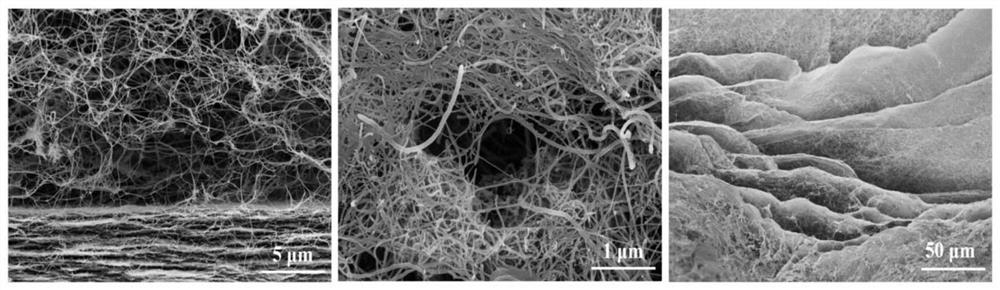 Photothermal conversion film with heterostructure light trapping enhancement and preparation method of photothermal conversion film