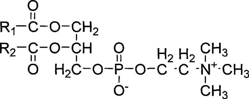 A kind of docetaxel nanoparticle composition