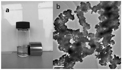 Preparation of a gold magnetic nanoparticle and its combination with surface-enhanced Raman spectroscopy for rapid detection of tetrodotoxin
